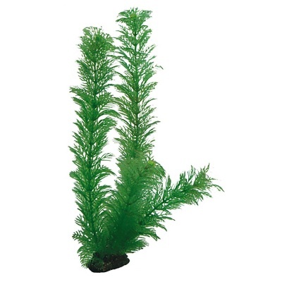 "HOBBY" - PLANTAS SET 3 (KIT 6 PLANTAS)