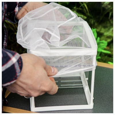 MATERNIDADE NIDO 3.1