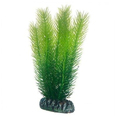 "HOBBY" - PLANTAS SET 3 (KIT 6 PLANTAS)