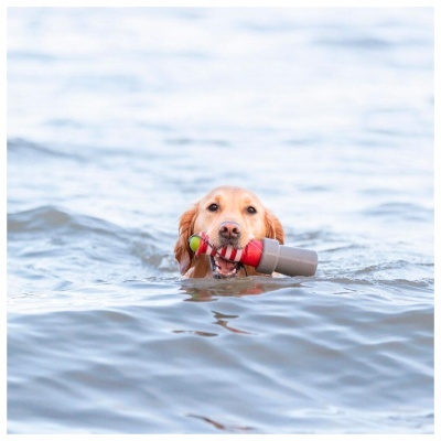 AQUA TOY - FAROL EM BORRACHA COM CORDA