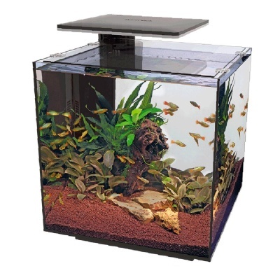 SUPERFISH - AQUÁRIO QUBIQ