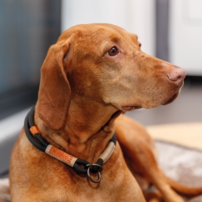 Estrangulador "BE NORDIC" - Trixie