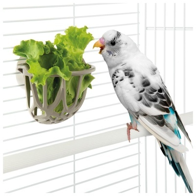 SUPORTE PARA VERDURA "QUICK LOCK"