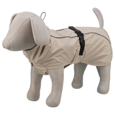 CAPA "BE NORDIC HUSUM"