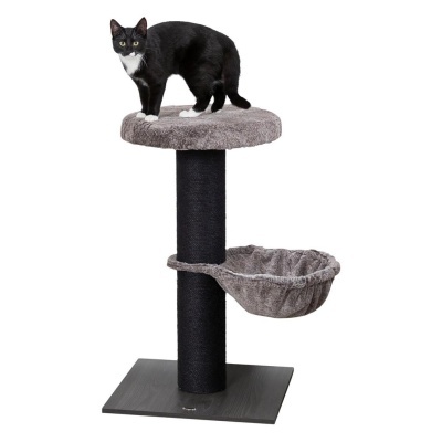 ARRANHADOR "MAURÍCIO"