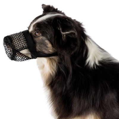 Açaime Anti-Ingestão em Polyester - Trixie