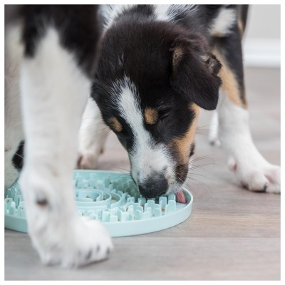 JÚNIOR - TABULEIRO PARA LAMBER