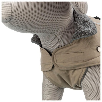 CAPA "ROUEN" 2 EM 1 (CÃES CURTOS E COMPACTOS)