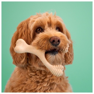 BETTERBONE - DUREZA MÉDIA (BEEF)