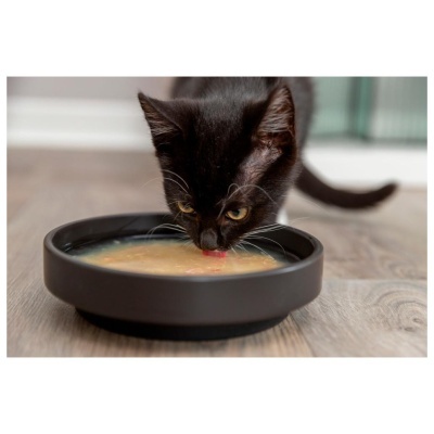 SOPA DE SALMÃO COM FRANGO