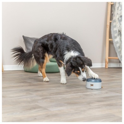 JOGO "BUZZER" PARA CÃES