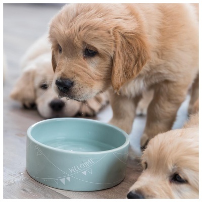 Júnior - Gamela em Cerâmica - Trixie