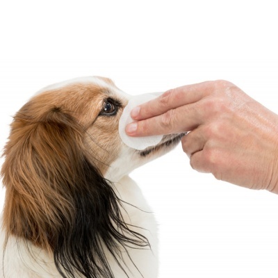 Discos para Limpeza de Olhos (100 unidades) - Trixie