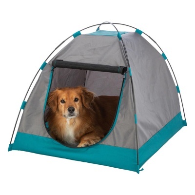 TENDA STRONG EDITION