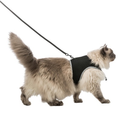 PEITORAL E TRELA XXL PARA GATOS