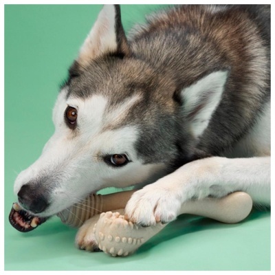 BETTERBONE - DUREZA MÉDIA (BEEF)