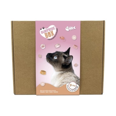 SURPRISE BOX GATO