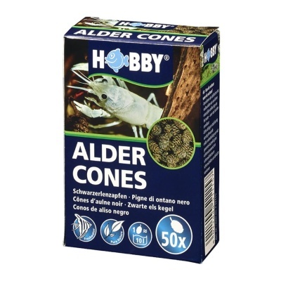 ALDER CONES (50 UNIDADES)