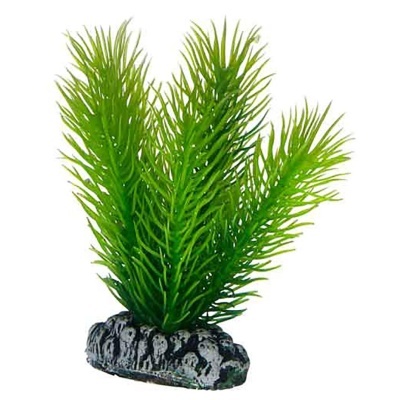 "HOBBY" - PLANTAS SET 1 (KIT 3 PLANTAS)