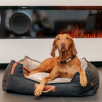 Estrangulador "BE NORDIC" - Trixie