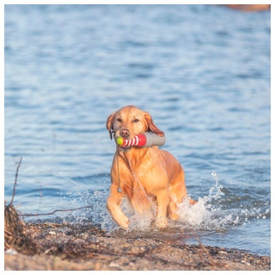 AQUA TOY - FAROL EM BORRACHA COM CORDA