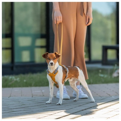 PEITORAL "PREMIUM ACTIVE"