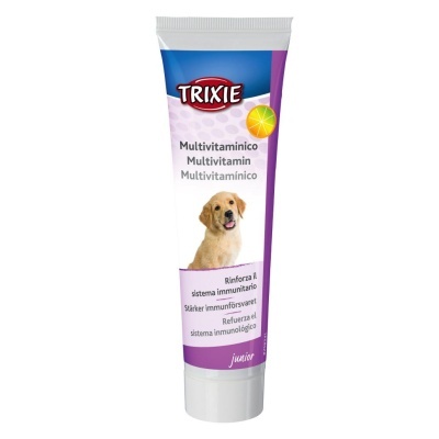 PASTA MULTIVITAMÍNICA CÃES E CACHORROS