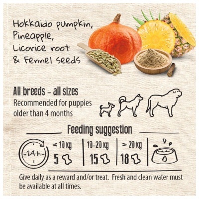 PETIT BISCUIT GRAIN FREE - DIGESTION