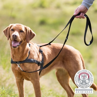 Peitoral de Treino LEAD´N´WALK SOFT - Trixie