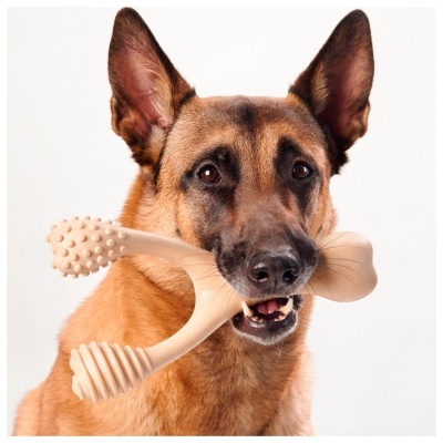 BETTERBONE - MACIO (CLASSIC)