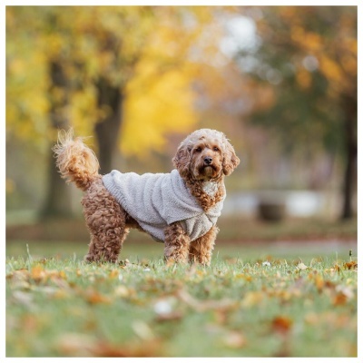 SWEAT "CARSON" PARA CÃES