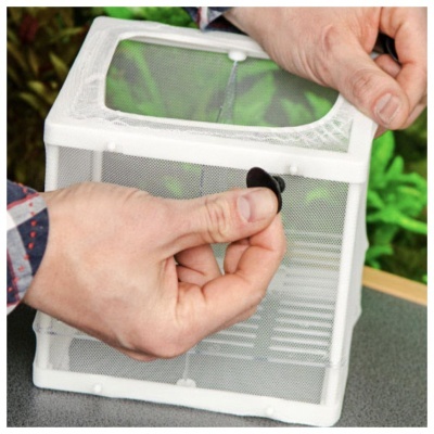 MATERNIDADE NIDO 3.1