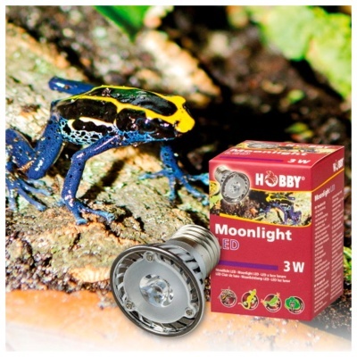 HOBBY - MOONLIGHT LED (LUZ LUAR)