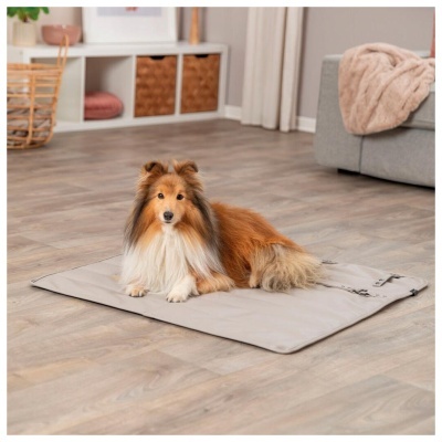 MANTA DE VIAGEM "CITYSTYLE"