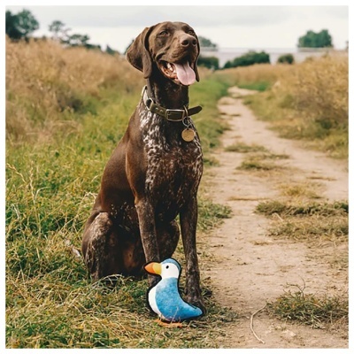 BECO TOY - PAPAGAIO MARINHO