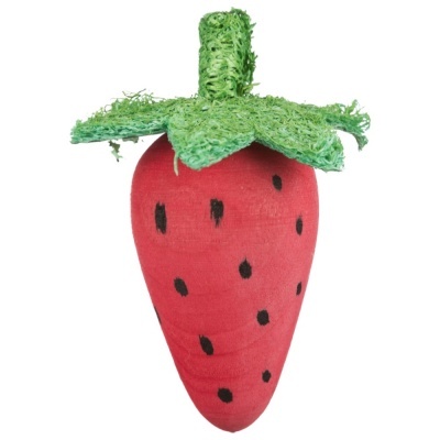 Morango e Beterraba em Madeira/Lufa - TX