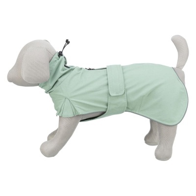 CAPA "CITYSTYLE DUBLIN"