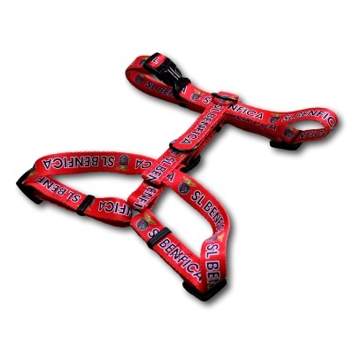 PEITORAIS OFICIAIS DE CLUBES