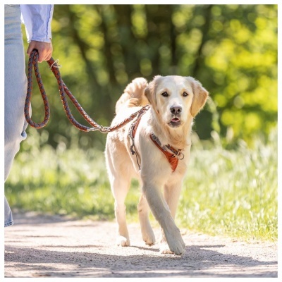 PEITORAL "PREMIUM ACTIVE"