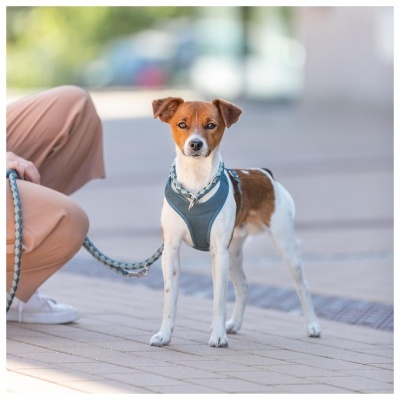 PEITORAL "PREMIUM ACTIVE"