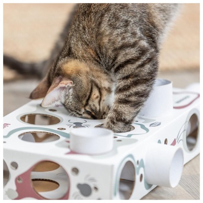 JOGO "PAW'N'TREATS BOX" EM CARTÃO