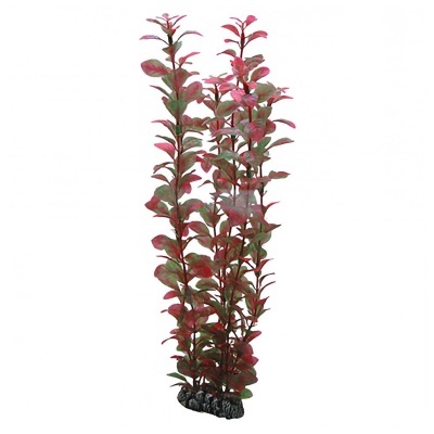 "HOBBY" - PLANTAS SET 3 (KIT 6 PLANTAS)