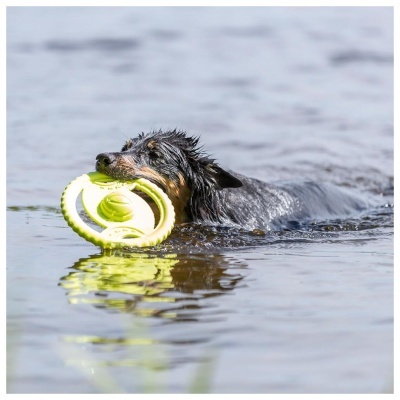 AQUA TOY - DISCO EM TPR