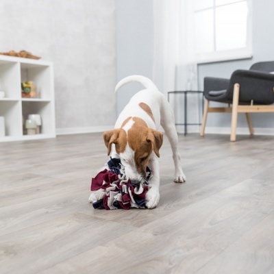 Bola em Tecido para esconder Snacks - Trixie