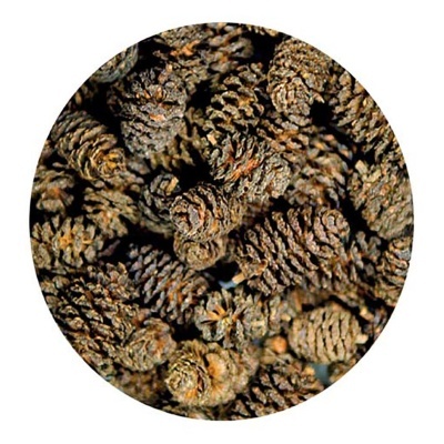 ALDER CONES (50 UNIDADES)