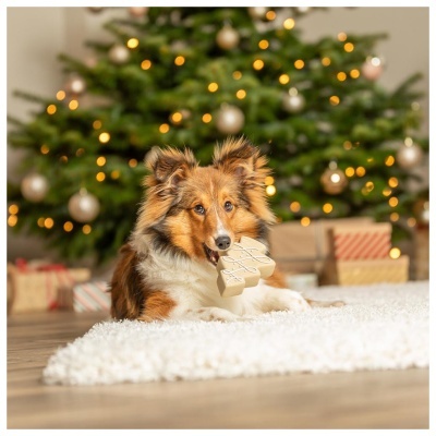 ÁRVORE DE NATAL EM LÁTEX