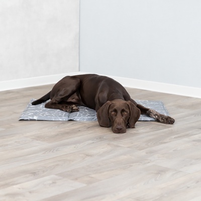 TAPETE DE ARREFECIMENTO (MACIO)