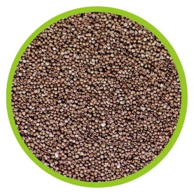 HOBBY - INCUBAÇÃO DE ARTEMIA