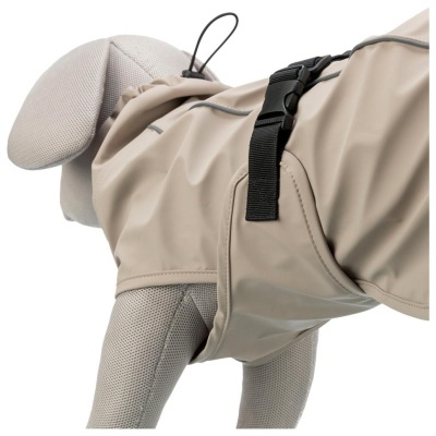 CAPA "BE NORDIC HUSUM"