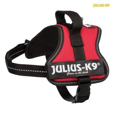 PEITORAL "JULIUS-K9" (Vermelho)